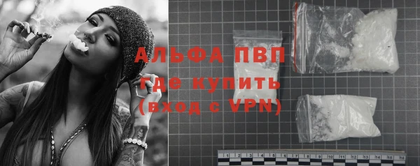индика Гусиноозёрск