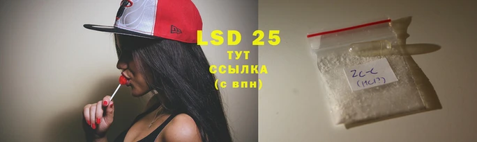 индика Гусиноозёрск