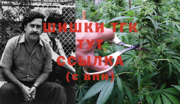 таблы Гусь-Хрустальный