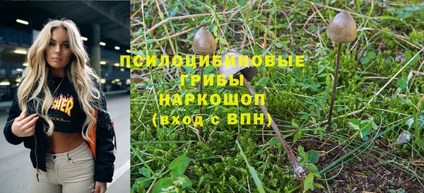 таблы Гусь-Хрустальный