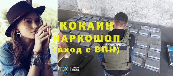 индика Гусиноозёрск
