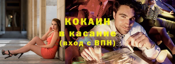 индика Гусиноозёрск