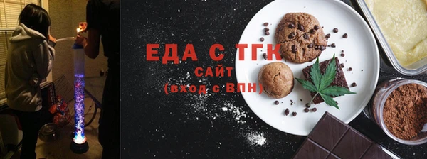 индика Гусиноозёрск
