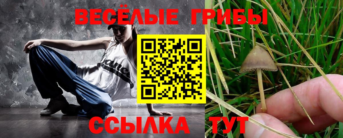Добрянка  Псилоцибиновые грибы прущие грибы  Вход с VPN  Галлюциногенные грибы мухоморы 