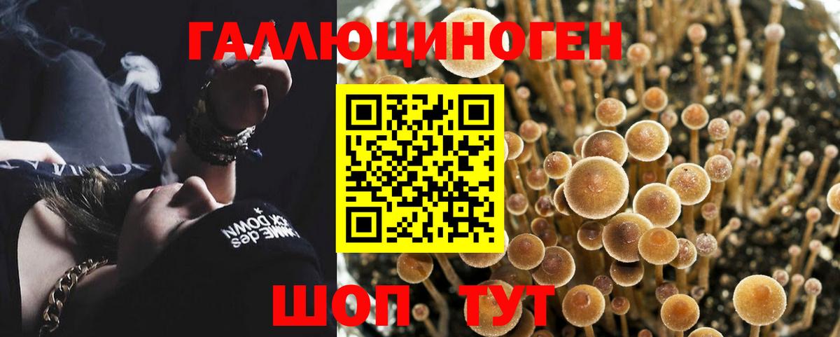 Псилоцибиновые грибы ЛСД Добрянка
